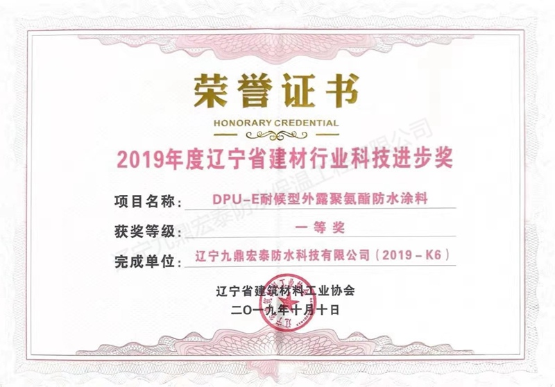 2019辽宁科技进步奖DPU-E.jpg